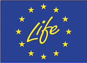 life_.jpg